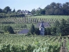 bourgueil
