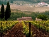 castellina_in_chianti