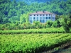 castle-provence