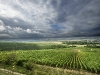 chablis-les-clos