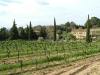 chateau_la_canorgue