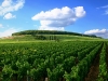 cote_de_nuits