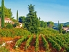 domaine-rabiega