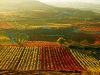 la-rioja