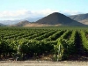 pasorobles