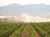 rioja