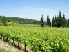 vallee-du-rhone
