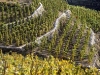 vignobles-de-provence
