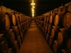 wine-cellar wine-cellar
