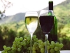 wine6