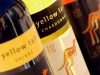 yellowtail