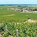 Domaine de la Romanee-Conti (Романе-Конти)